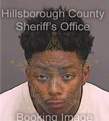 Baldwin Michael - Hillsborough County, FL 