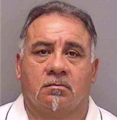 Solis Silvestre - Lee County, FL 