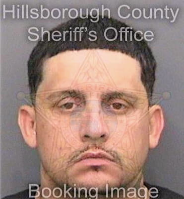 Thomas Christopher - Hillsborough County, FL 