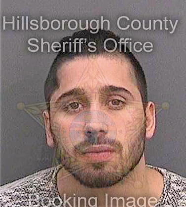 Gonzalez Jesus - Hillsborough County, FL 