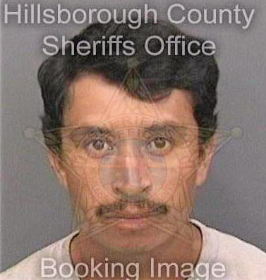 Gonzalezmorales Dario - Hillsborough County, FL 