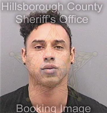 Baysdon Michael - Hillsborough County, FL 