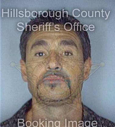 Dervishian Randall - Hillsborough County, FL 