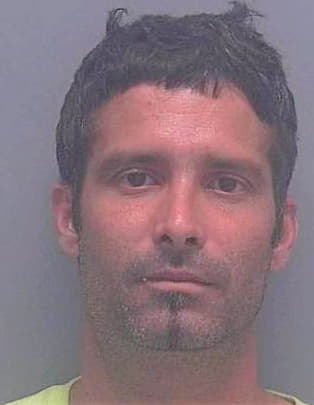 Hernandez-Subit Yoan - Lee County, FL 