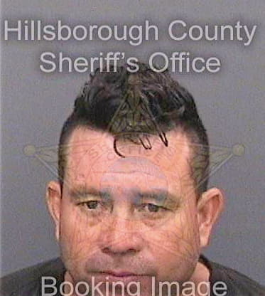 Mejia Carlos - Hillsborough County, FL 
