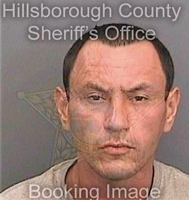 Lopez Alejandro - Hillsborough County, FL 