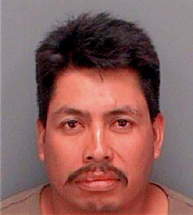 Morales Faustino - Pinellas County, FL 