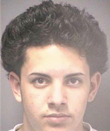 Borras Carlos - Hillsborough County, FL 