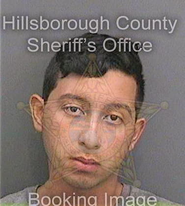 Spencer Steven - Hillsborough County, FL 