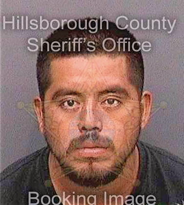 Mendez Raul - Hillsborough County, FL 