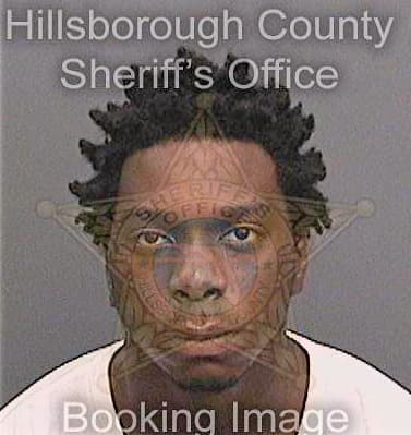 George Dameon - Hillsborough County, FL 