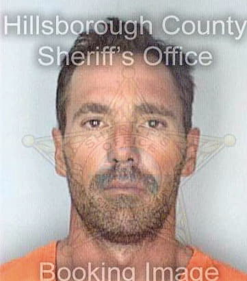 Chwalek David - Hillsborough County, FL 