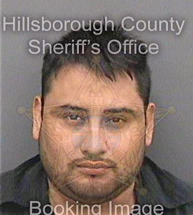 Sanchezrodriguez Ramon - Hillsborough County, FL 