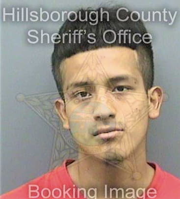 Torres Heriberto - Hillsborough County, FL 