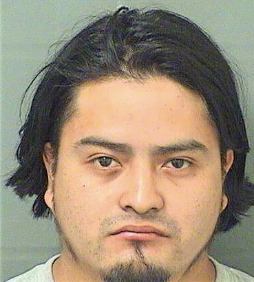 Tocgutierrez Erick - PalmBeach County, FL 