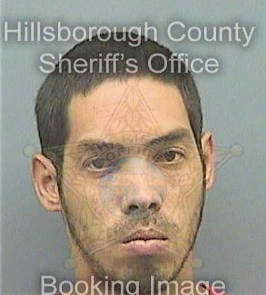 Chodiaz Francisco - Hillsborough County, FL 