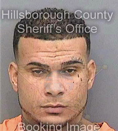 Egido Sergio - Hillsborough County, FL 