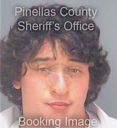 Dillon Zachary - Pinellas County, FL 