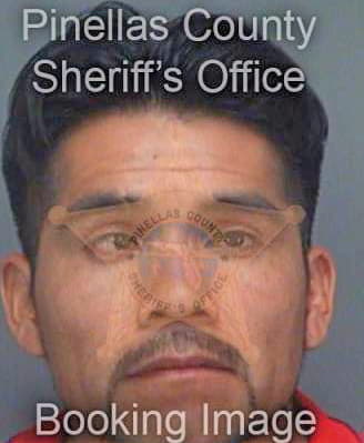 Torres Manuel - Pinellas County, FL 