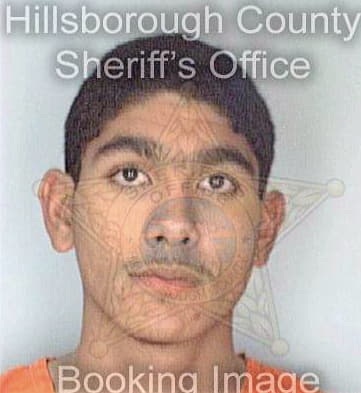 Mejias Antonio - Hillsborough County, FL 