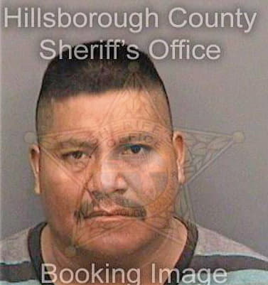 Venturajose Armando - Hillsborough County, FL 