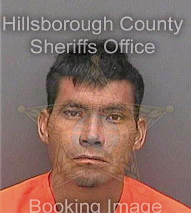 Vazquezmendez Armando - Hillsborough County, FL 