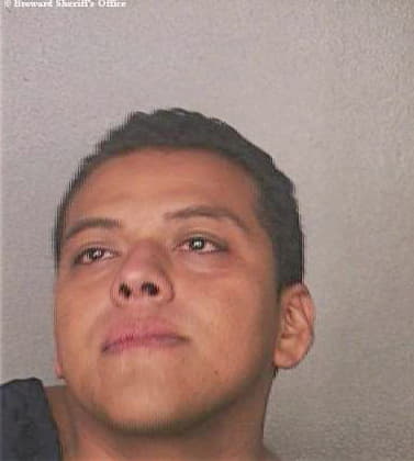 Hernandez Simon - Broward County, FL 