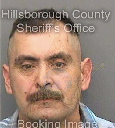 Salas Francisco - Hillsborough County, FL 