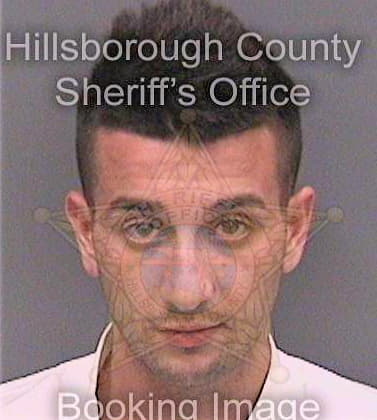 Tebaldi Nicholas - Hillsborough County, FL 