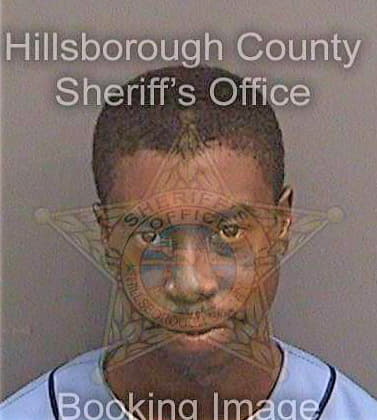 Johnson Brenton - Hillsborough County, FL 