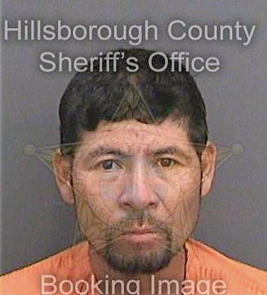 Silvestre Samuel - Hillsborough County, FL 