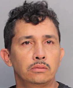 Hernandez Augusto - Dade County, FL 