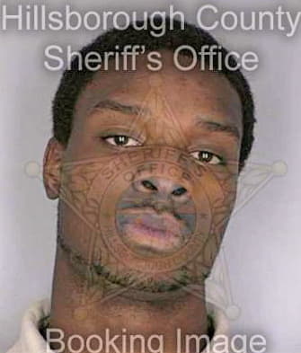 Smith Henry - Hillsborough County, FL 