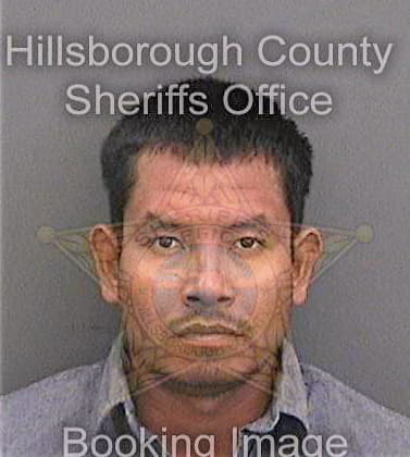 Vega-Franco Miguel - Hillsborough County, FL 