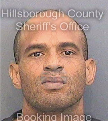 Edwards Maurice - Hillsborough County, FL 