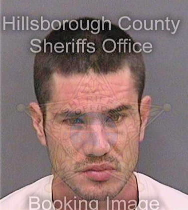 Stephens David - Hillsborough County, FL 