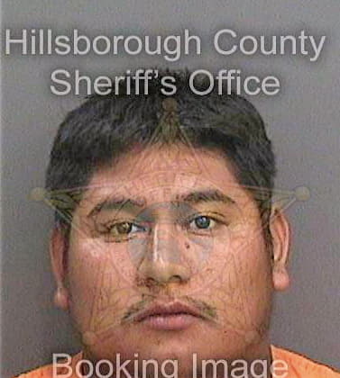 Lopezmeza Victor - Hillsborough County, FL 