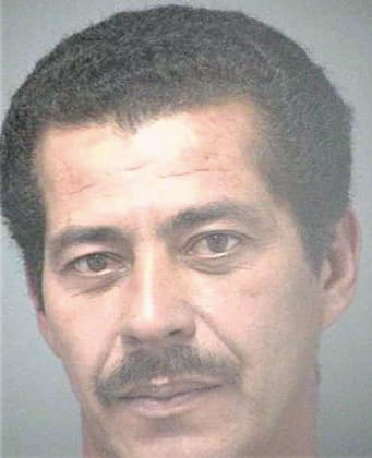 Silva Juan - Hillsborough County, FL 