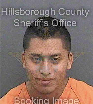 Lopezsantos Geovany - Hillsborough County, FL 