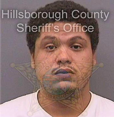 Correa Hershel - Hillsborough County, FL 