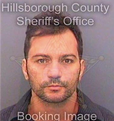 Lorenzo Luigi - Hillsborough County, FL 