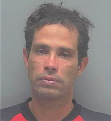 Silva Francismar - Lee County, FL 