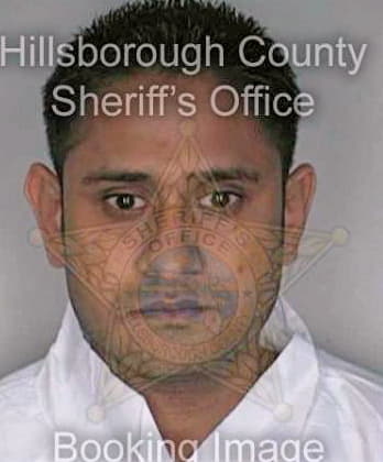 Patel Mitesh - Hillsborough County, FL 