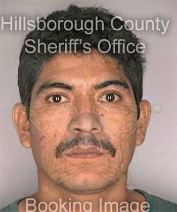 Delgado Santiago - Hillsborough County, FL 