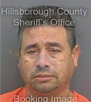 Bermudez Gunther - Hillsborough County, FL 