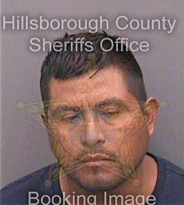 Martinezgonzalez Mynor - Hillsborough County, FL 