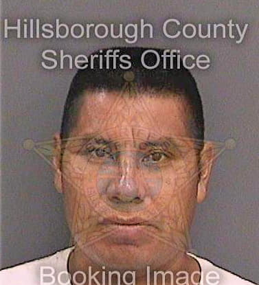 Dejesusmerino Cayetano - Hillsborough County, FL 