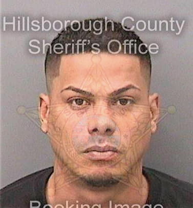 Vigo Alberto - Hillsborough County, FL 