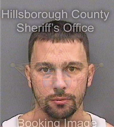 Nicholas Bryan - Hillsborough County, FL 