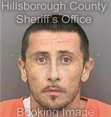 Bradley David - Hillsborough County, FL 